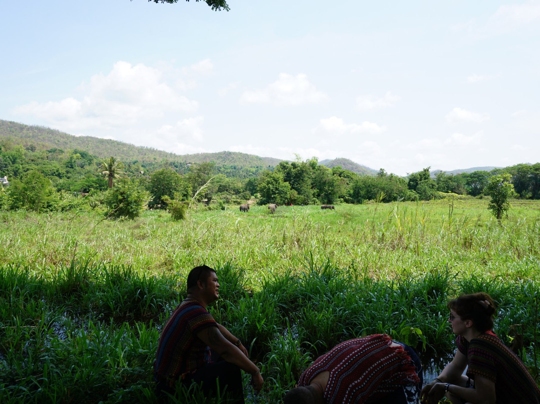 Inthanon Elephant Sanctuary & Wildlife Preserve-清迈必去景点