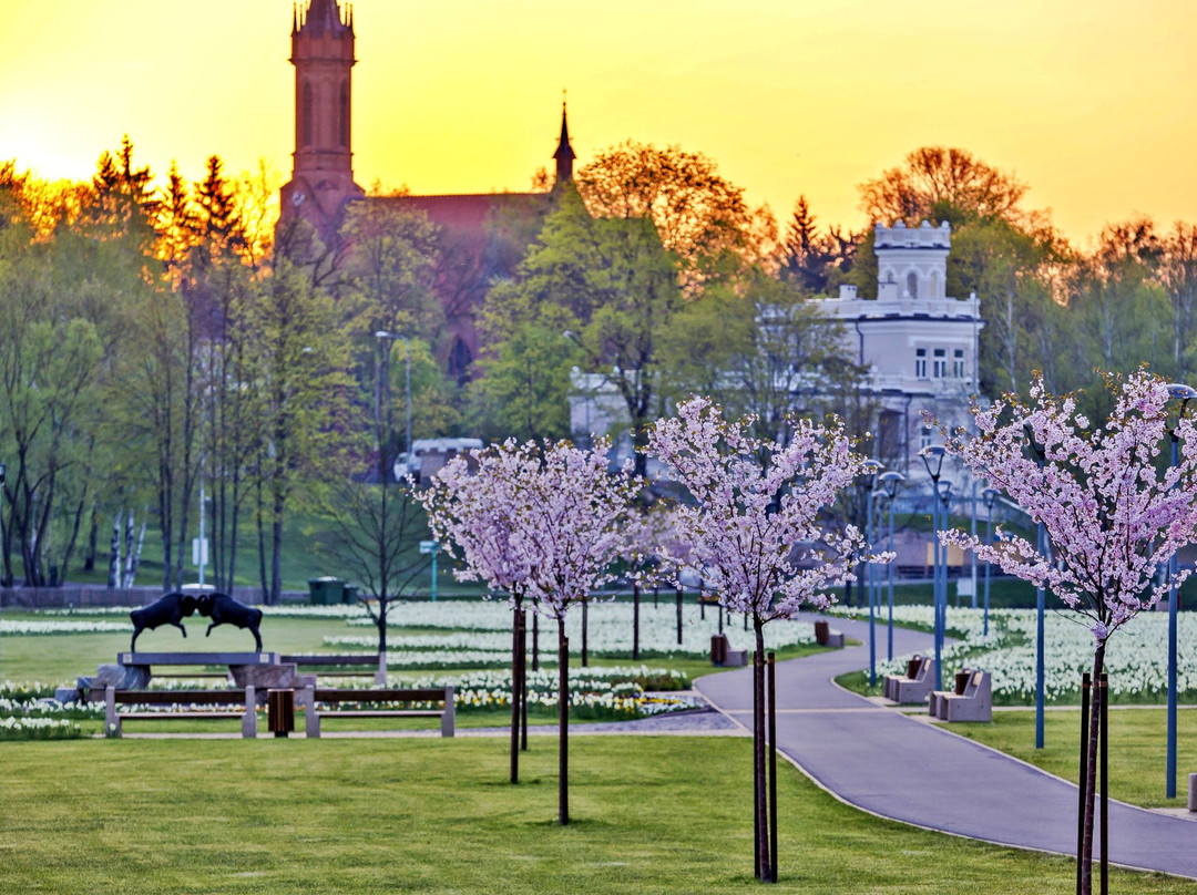 Druskininkai Tourism and Business Information Centre景点图片