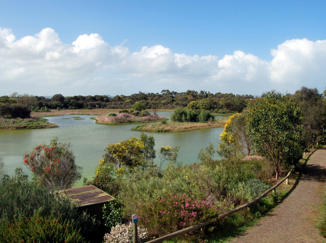 Millicent旅游攻略图片