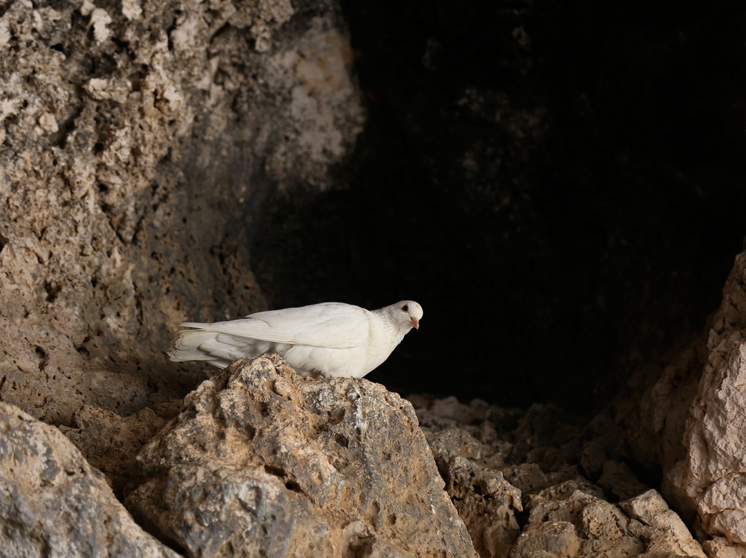 Agioi Saranta-法玛古斯塔必去景点