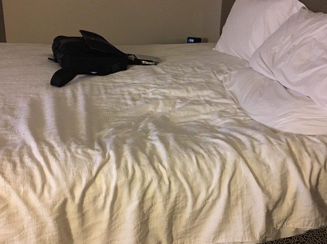 Hilton Garden Inn Appleton/kimberly主图