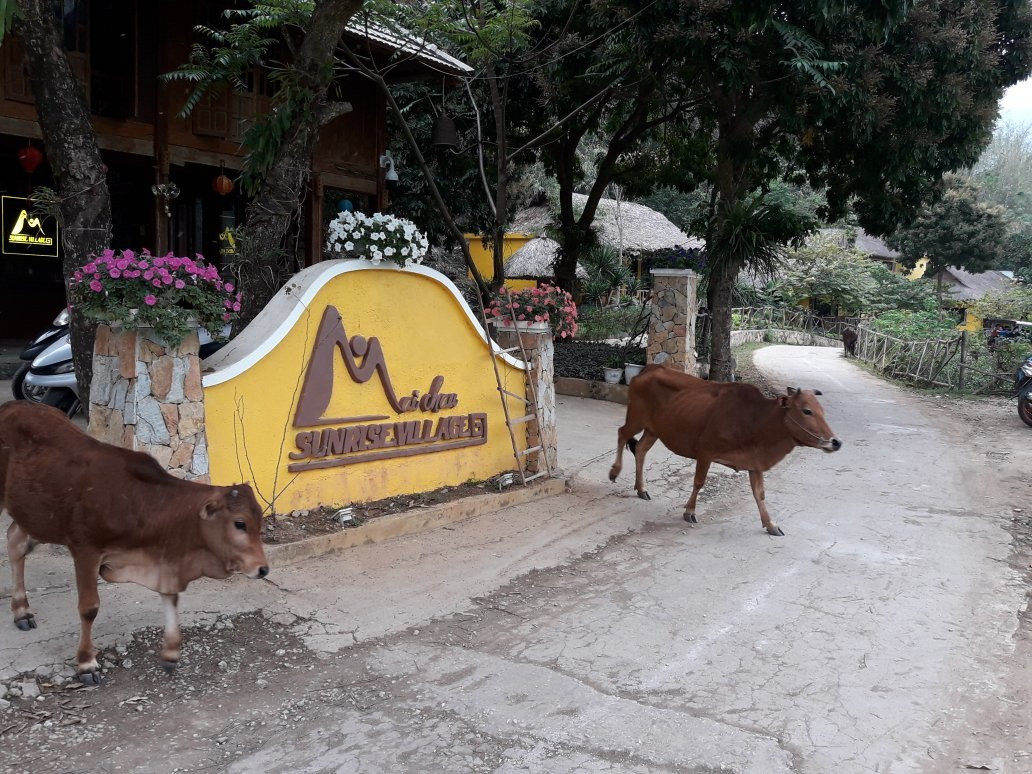 Mai Chau Nature Lodge Hostel
