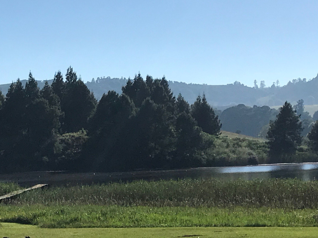 Beacon Vlei Guest Farm主图