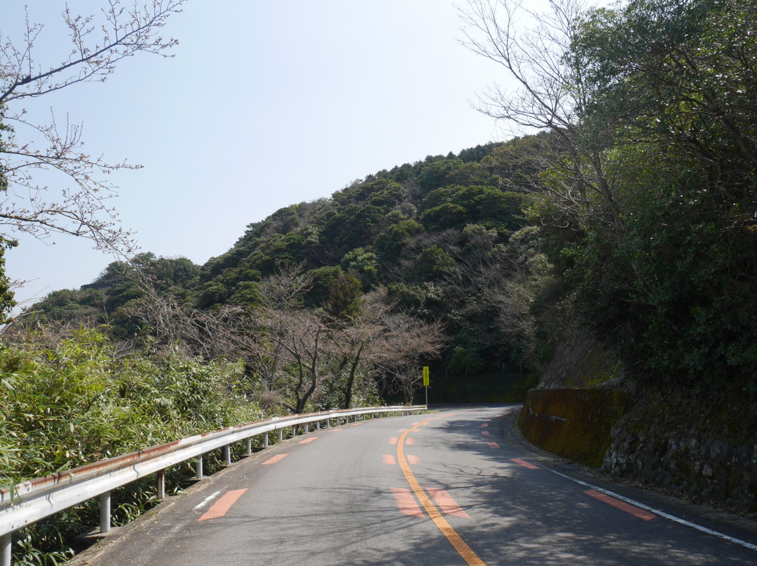 Cherry Trees in Kagamiyama-唐津市必去景点