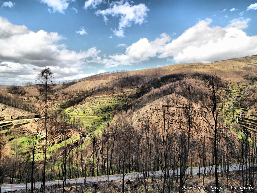 Aldeia do Xisto de Benfeita景点图片