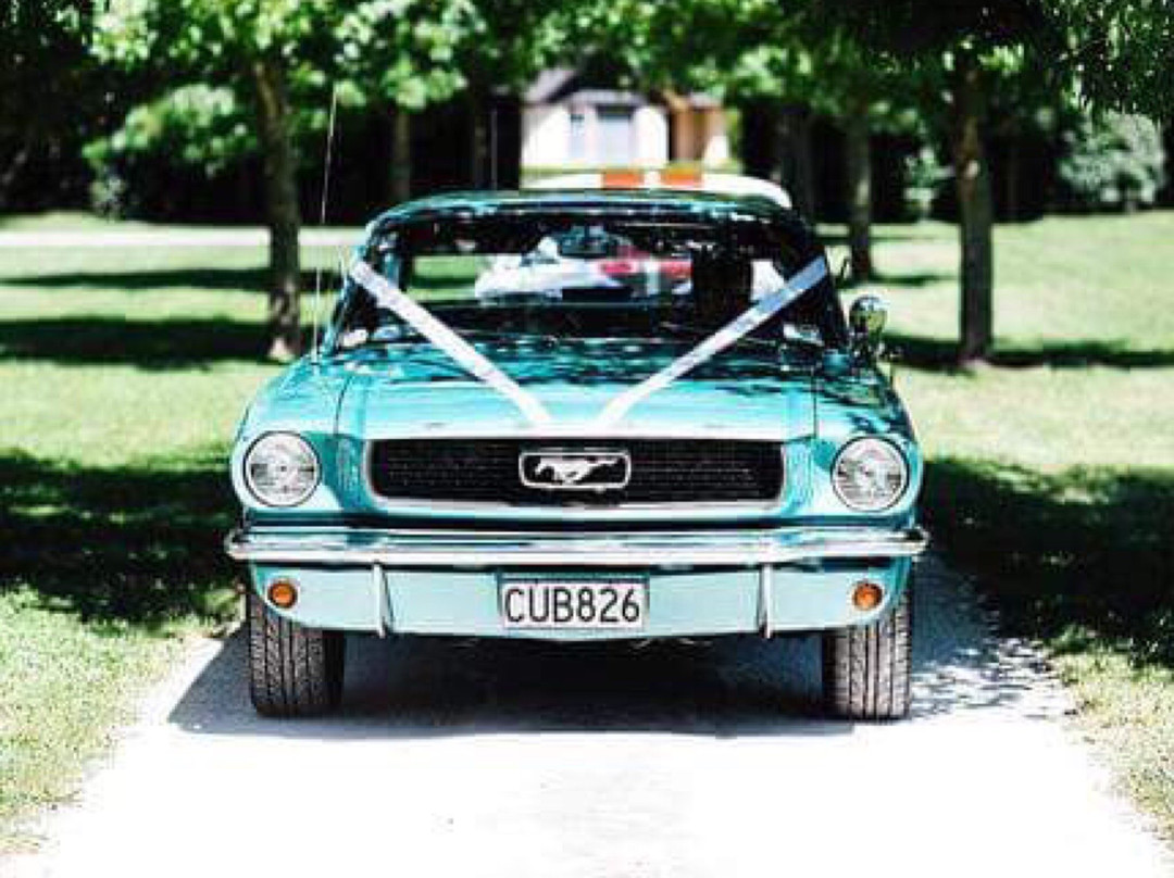 Korbaylen Estate主图