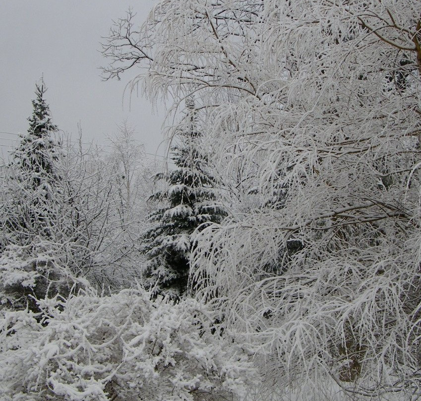 Camp Driftwood主图