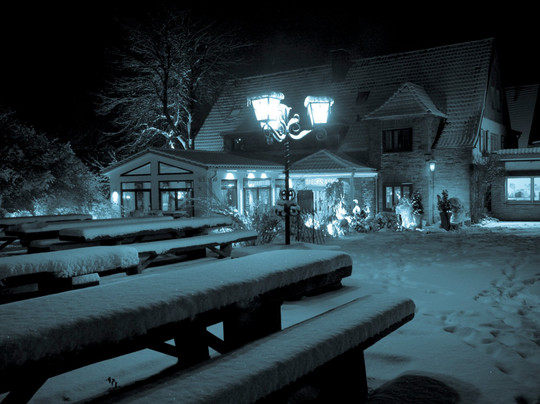 Dieckmann's Hotel主图