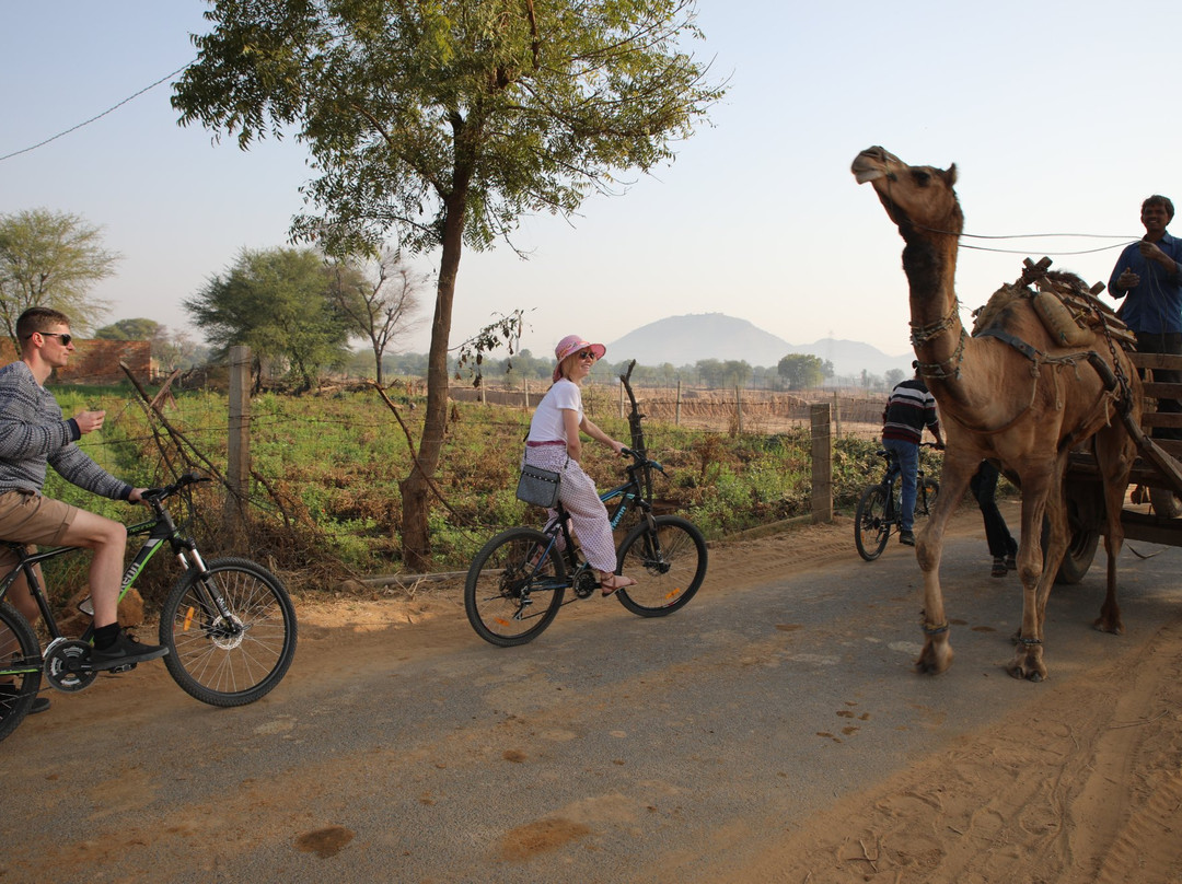 Lets Trip Cycle Tours-斋蒲尔必去景点