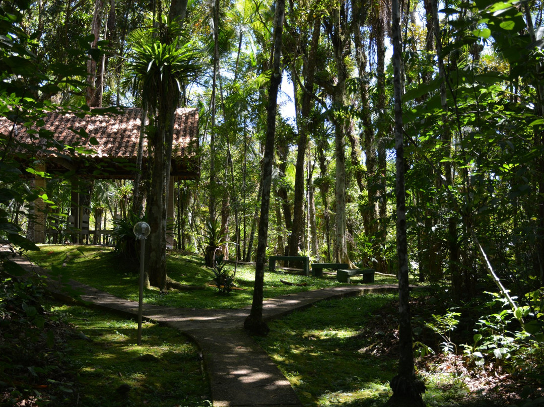 Aguas Mornas Palace Hotel主图