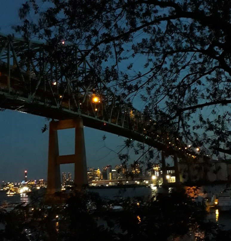 Mary O'Malley Waterfront Park-切尔西必去景点