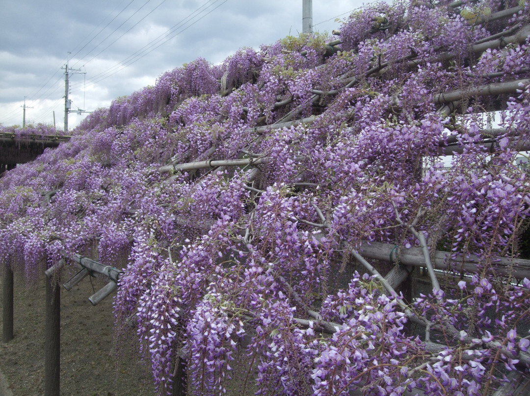 Toba Water Environmental Conservation Center-京都市必去景点