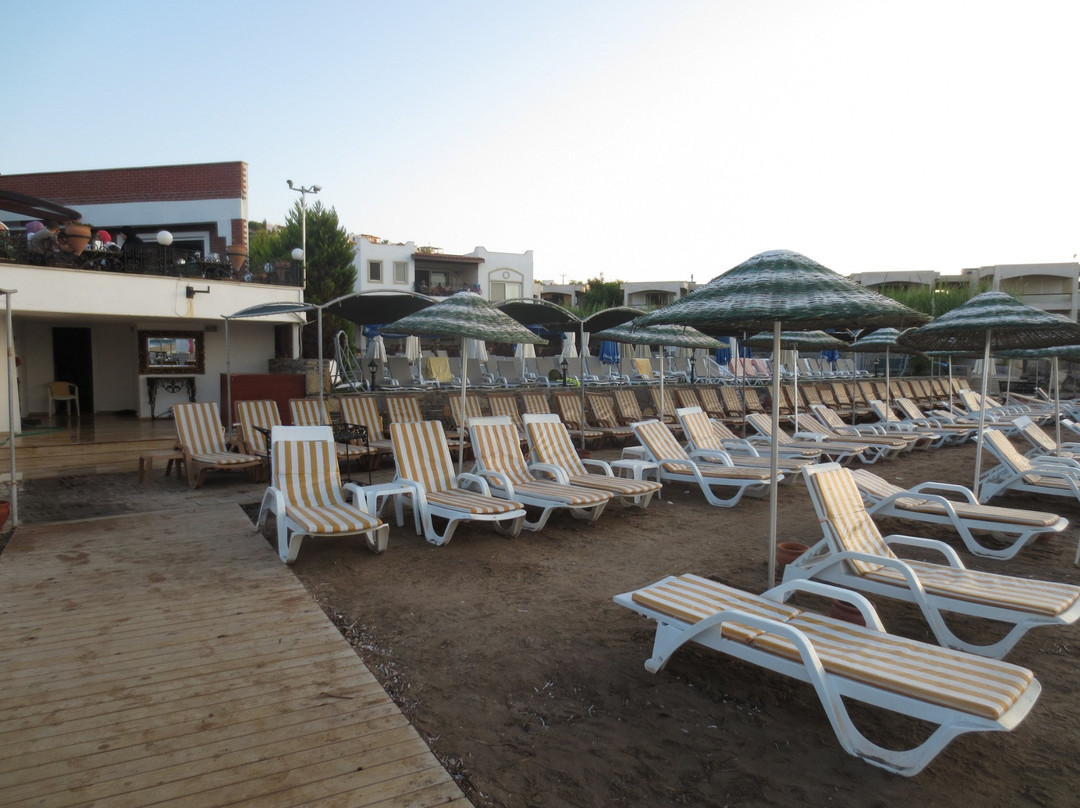 Club Cactus Fleur Beach主图