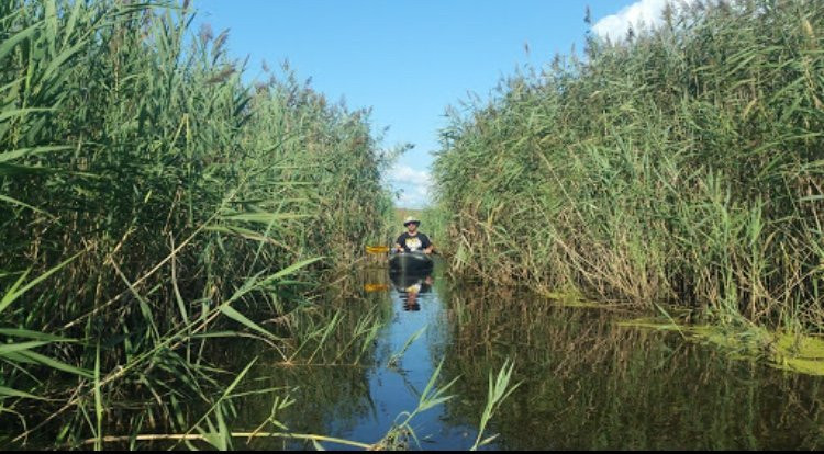 Sandbridge Little Island Fishing Pier-弗吉尼亚海滩必去景点