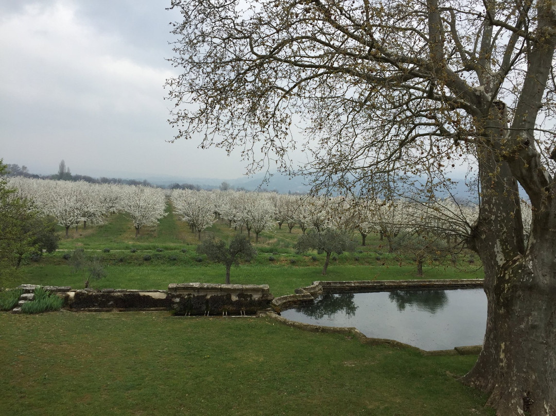 Domaine la Carraire主图