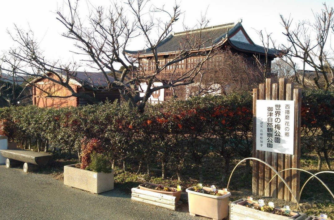 Ume Tree Parks-龙野市必去景点