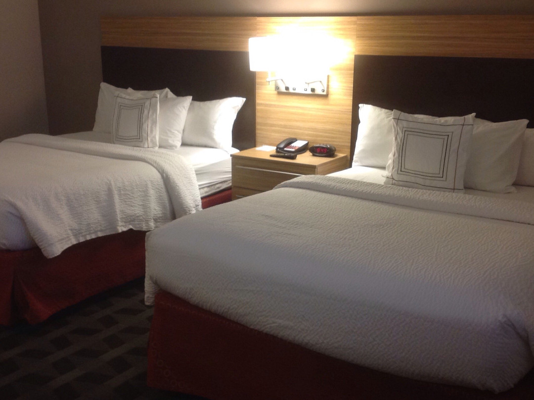 TownePlace Suites by Marriott Macon Mercer University主图