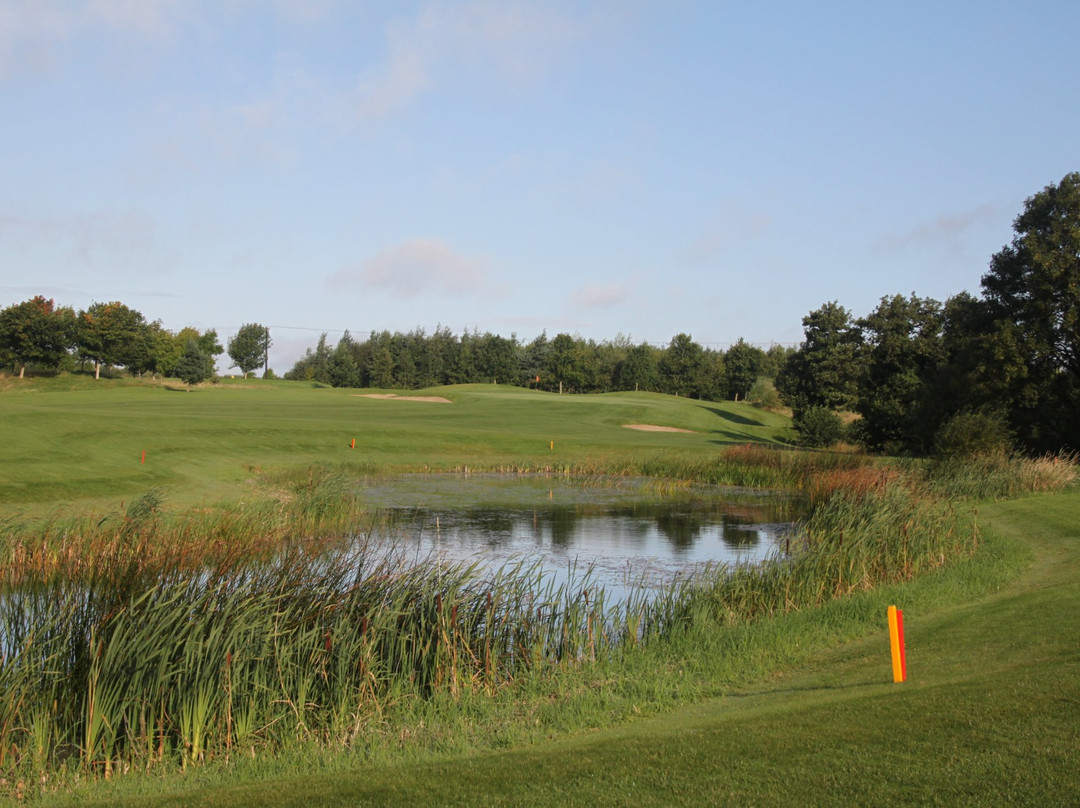 Millicent Golf Club景点图片