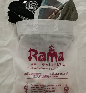 Rama Art Gallery-乌代布尔必去景点