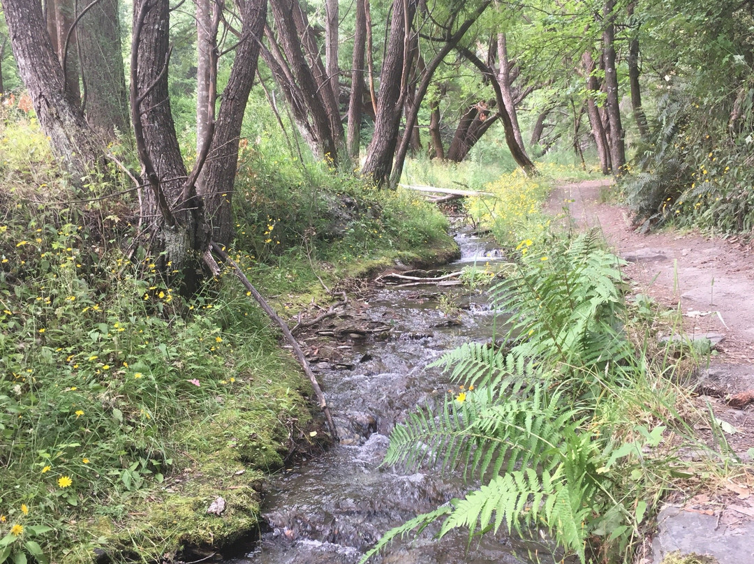 Bush Creek Trail-箭镇必去景点