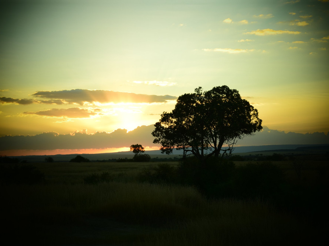 Book Direct Kenya Safaris-蒙巴萨必去景点