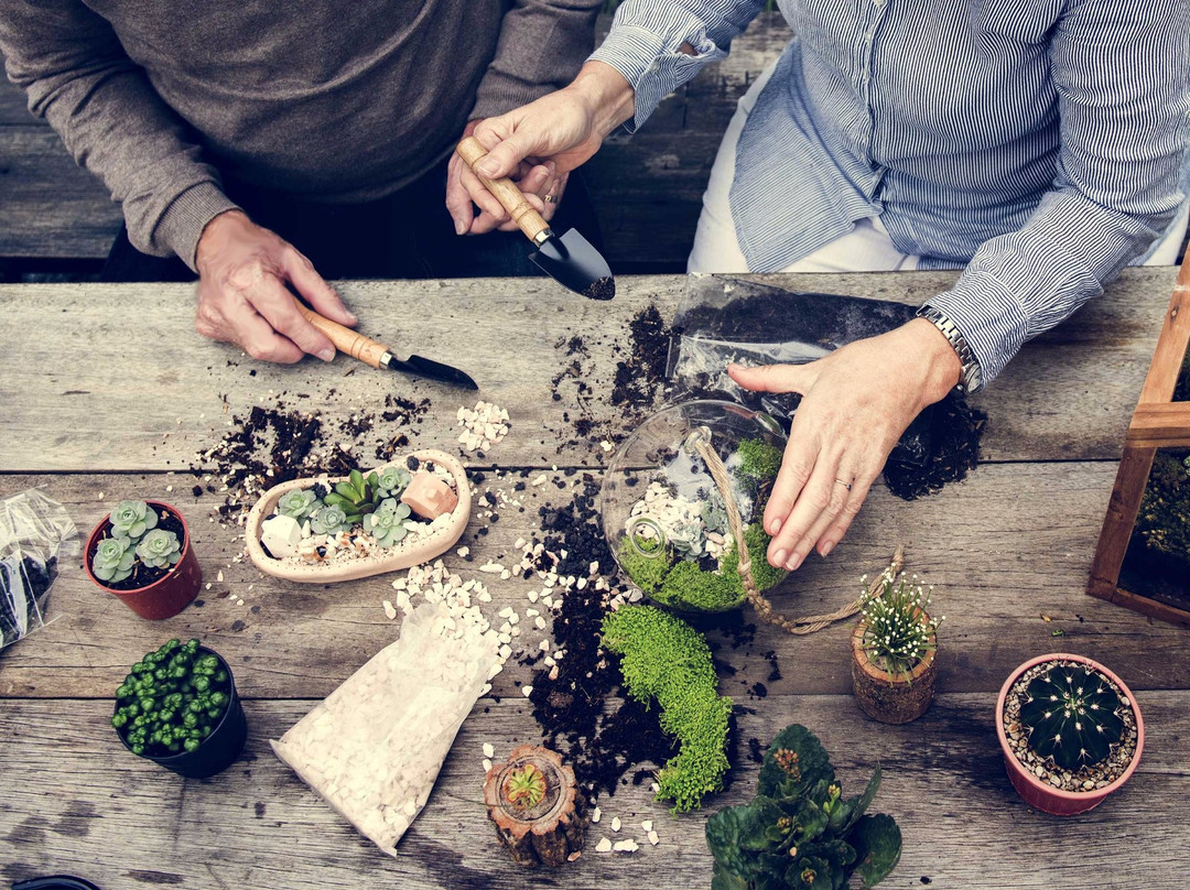 Color Cocktail Factory-芝加哥必去景点