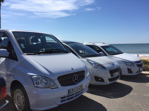 Funny Orange Transfers