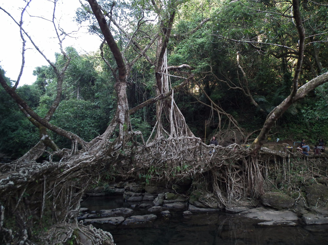 Meghalaya’s Mawlynnong景点图片