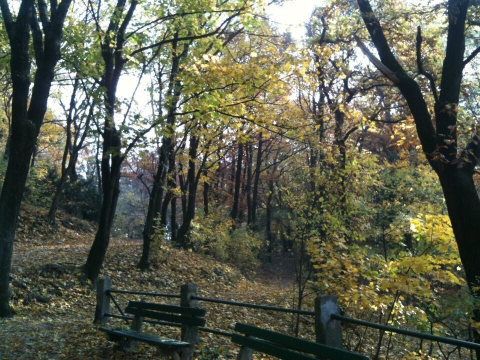 Horsky Park-布拉迪斯拉发必去景点