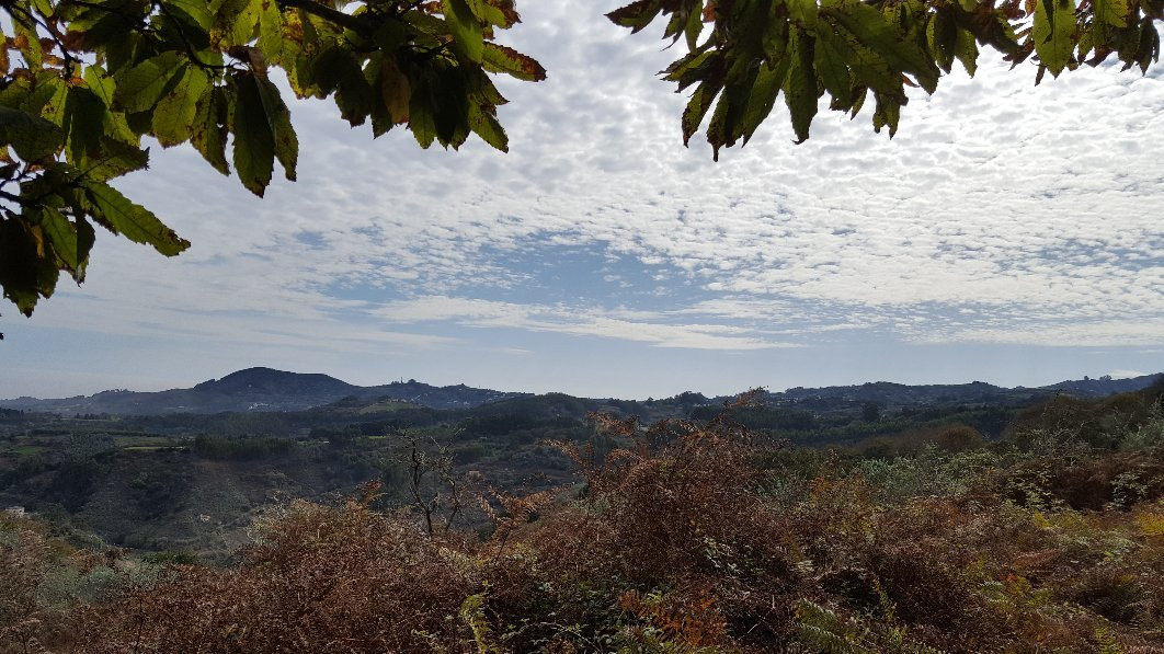 Guia旅游景点-Reserva Natural Especial El Brezal