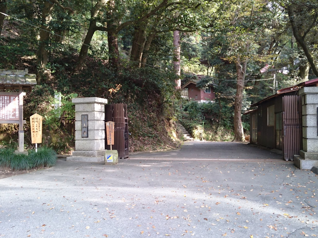 Oyama-ji Temple Tomiya Kannon-樱川市必去景点