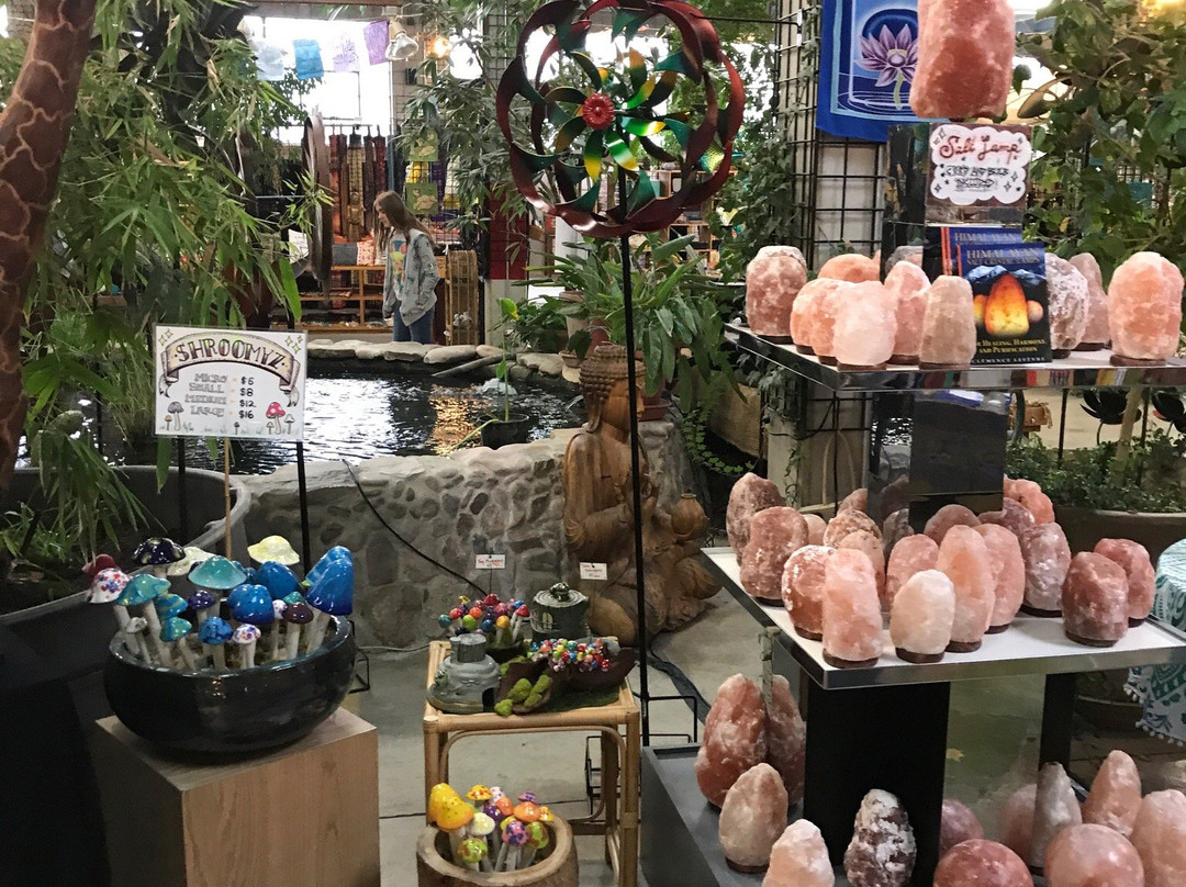 Dancing Cranes Imports-盐湖城必去景点