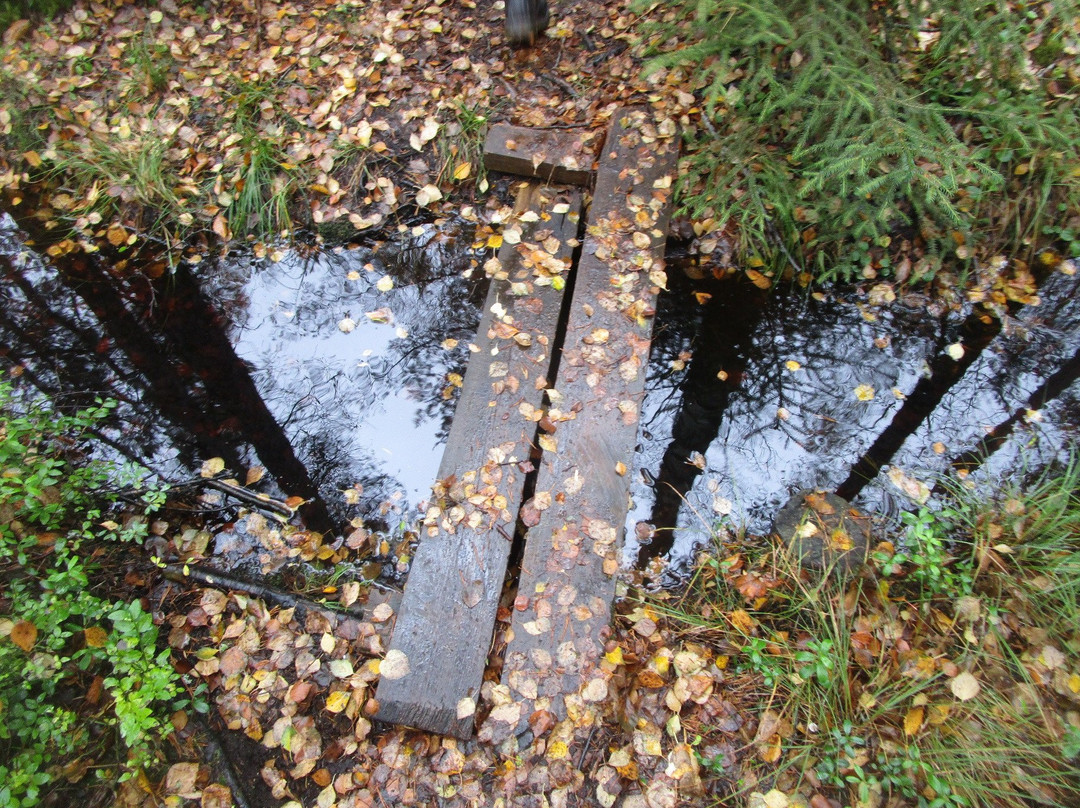 Grössjön Nature Reserve-于默奥必去景点