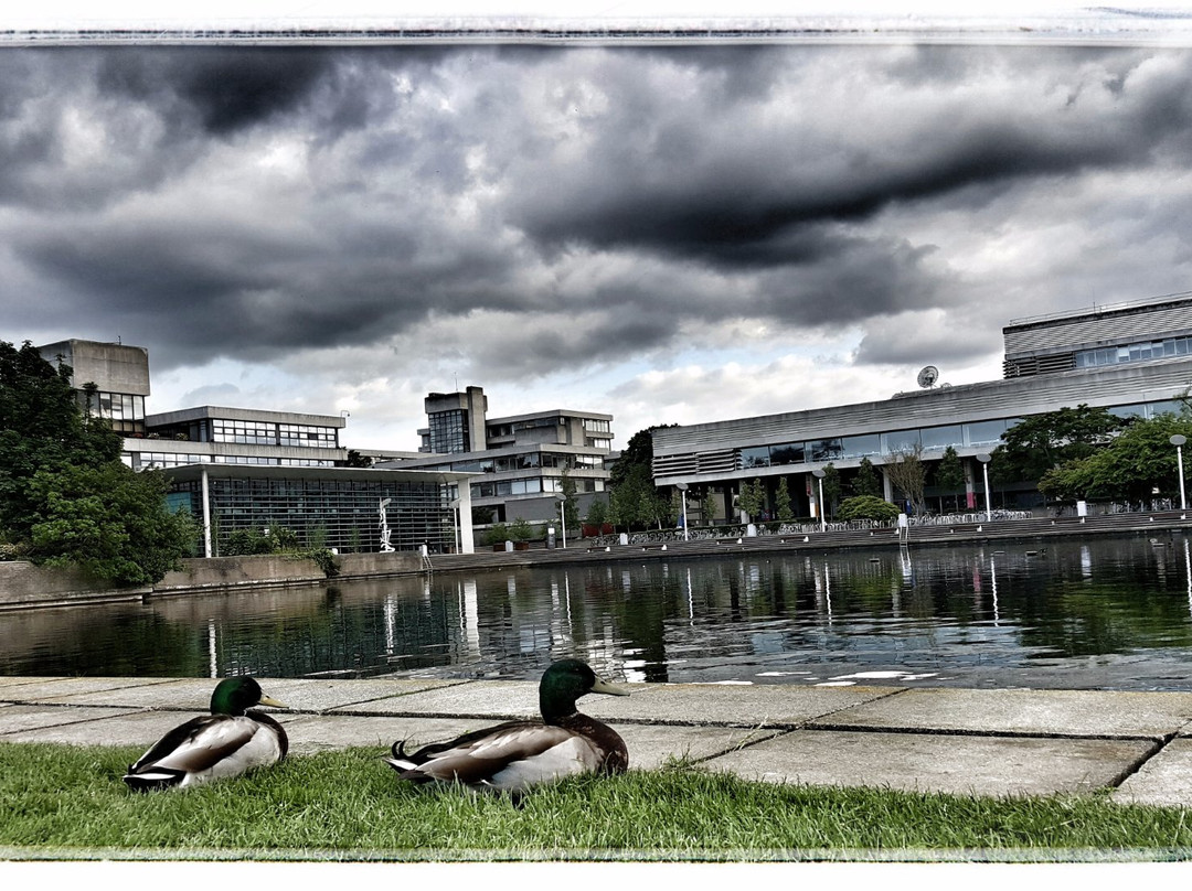 University College Dublin-都柏林必去景点