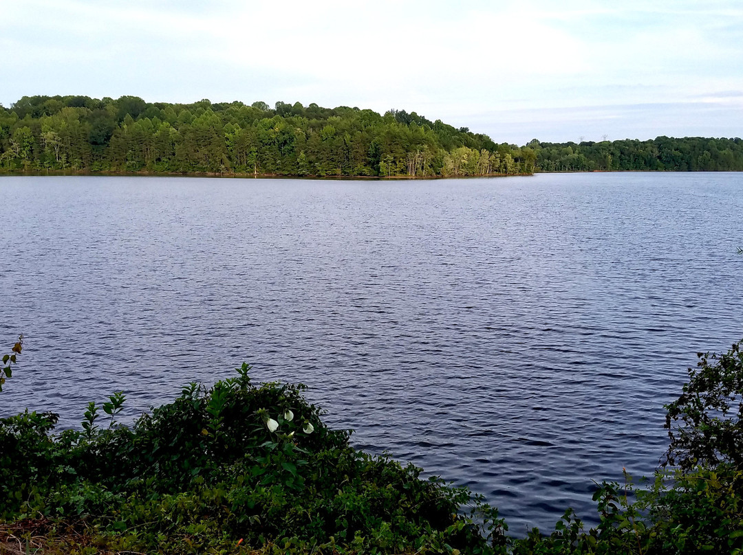 Lake Brandt Marina景点图片