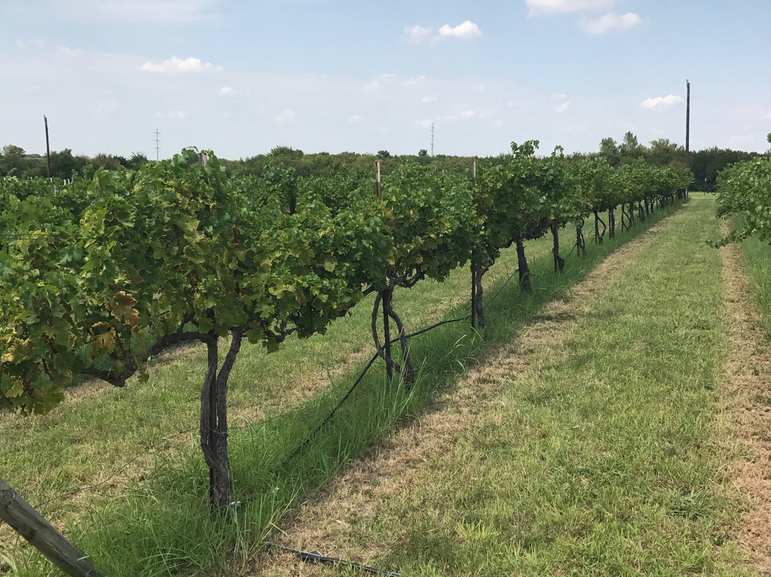 Caudalie Crest Winery-Celina必去景点