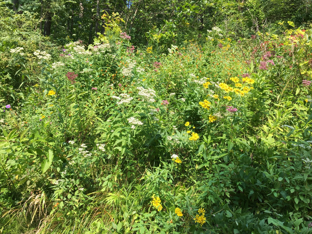 Channing H. Philbrick Park-Penfield必去景点