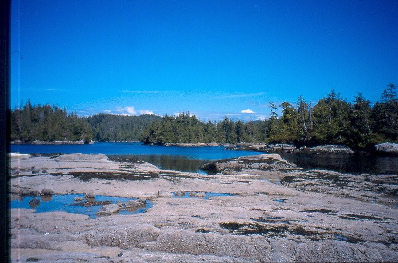 Gods Pocket Marine Provincial Park景点图片