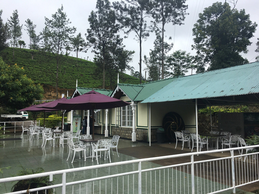 Talawakele餐馆和美食-Somerset Estate Tea Boutique