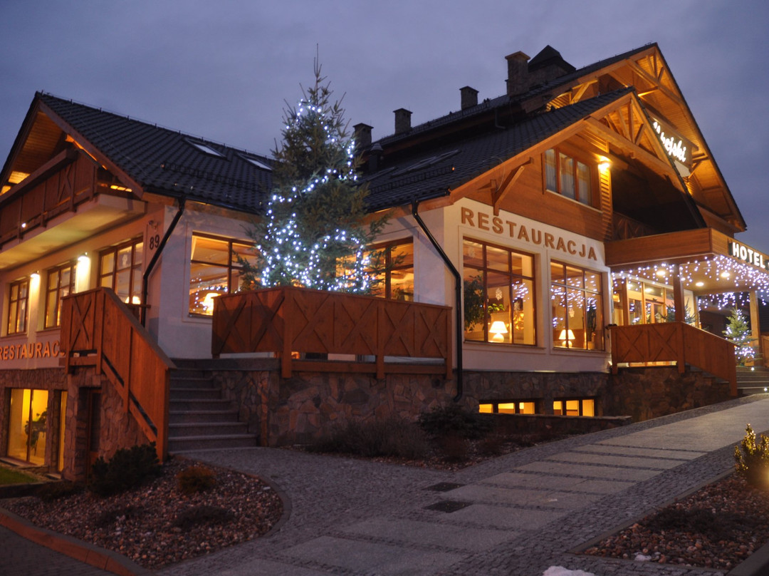 Restauracja Hotel Alpejski