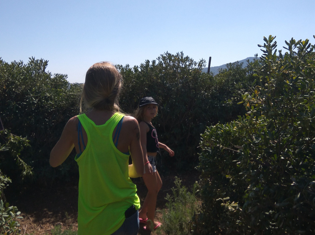 Mavoch Ba'Emek (The Maze in the Valley)