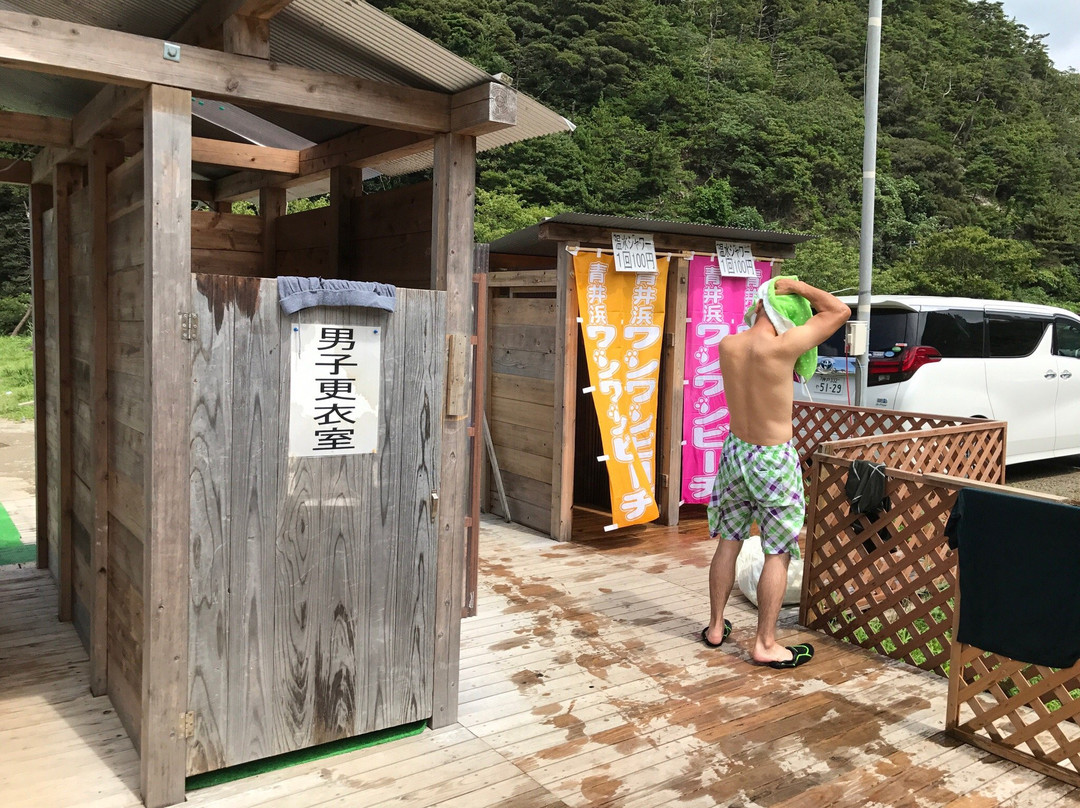 Aoihama Wanwan Beach-丰冈市必去景点