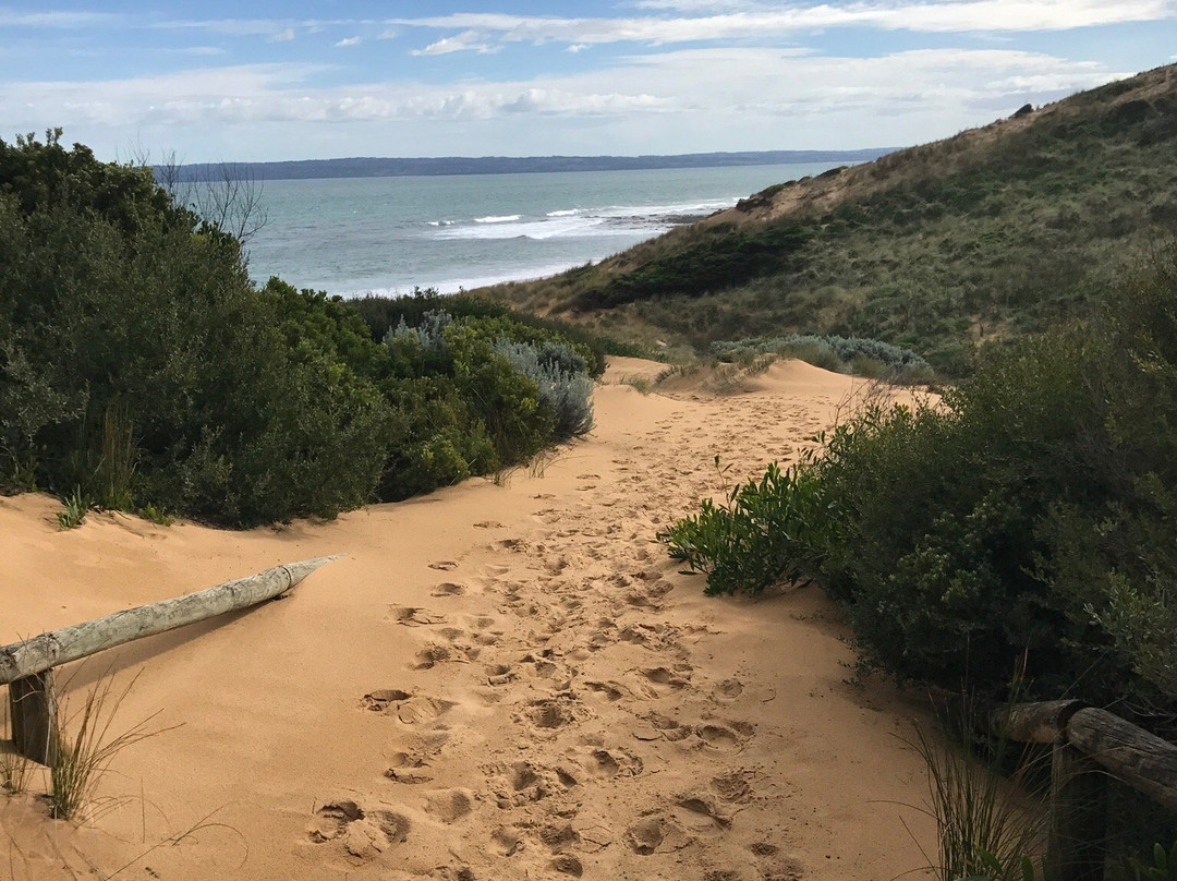 Flynns Beach景点图片