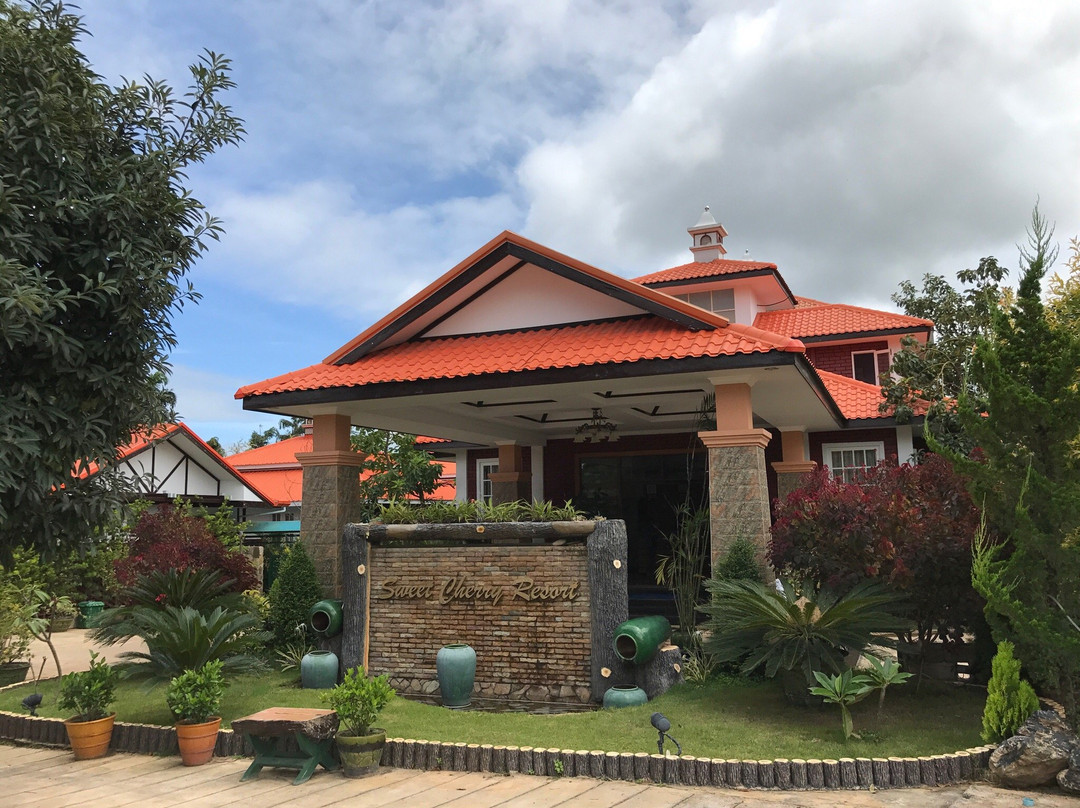 Sweet Cherry Resort