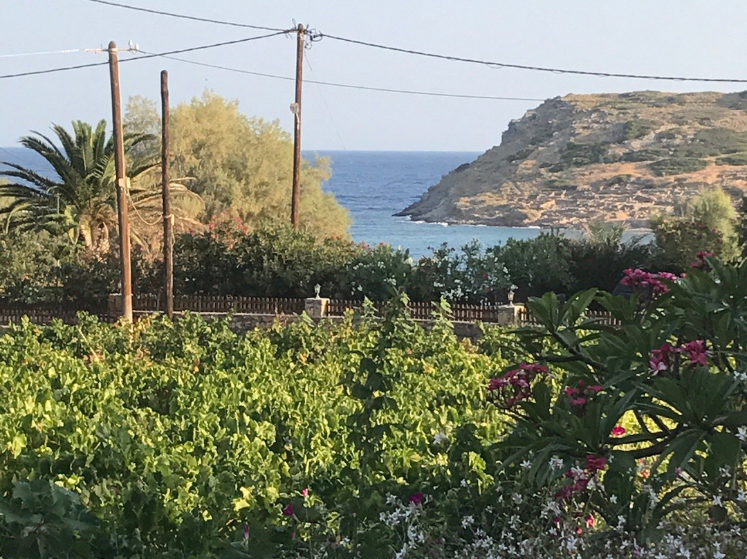 Mochlos Mare Apartments主图