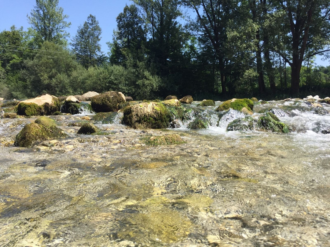 Fiume Natisone景点图片