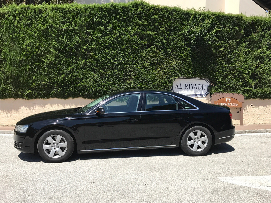 Cheap Malaga Airport Transfers-马拉加必去景点
