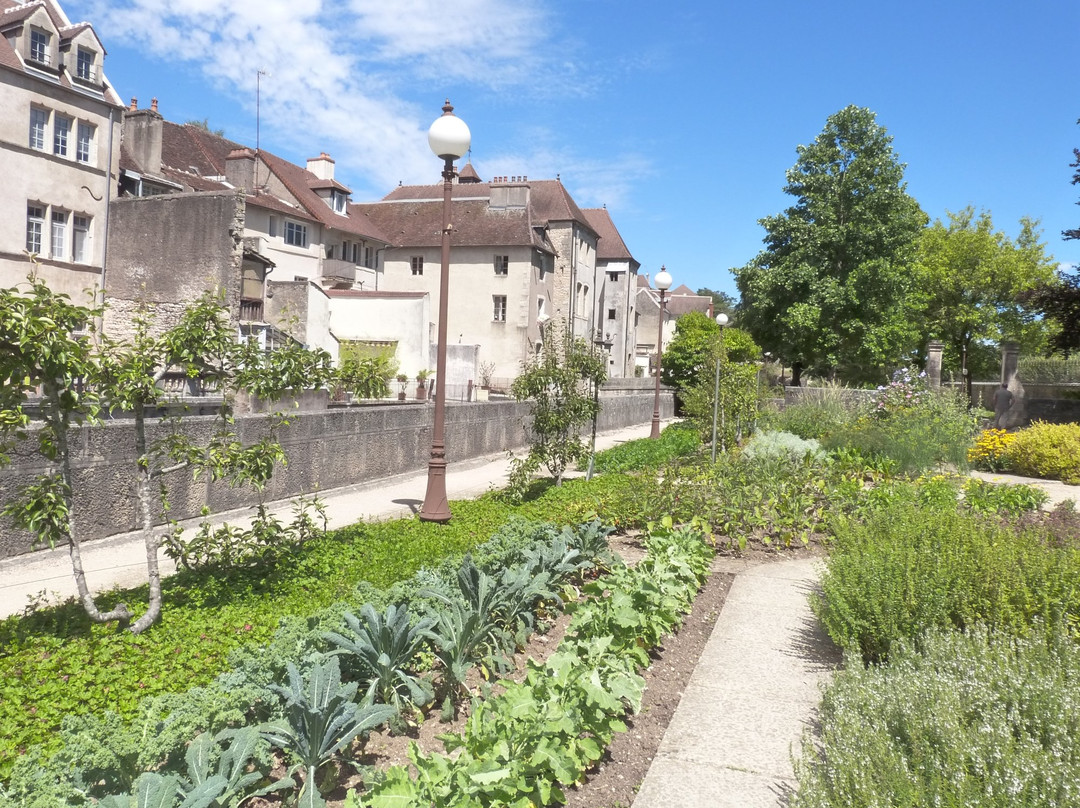 Jardin Botanique des Chevannes景点图片