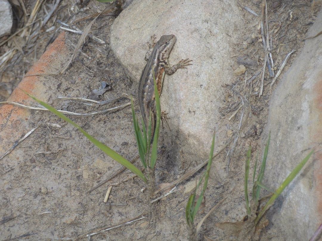 Prater Ridge Trail-梅萨维德国家公园必去景点