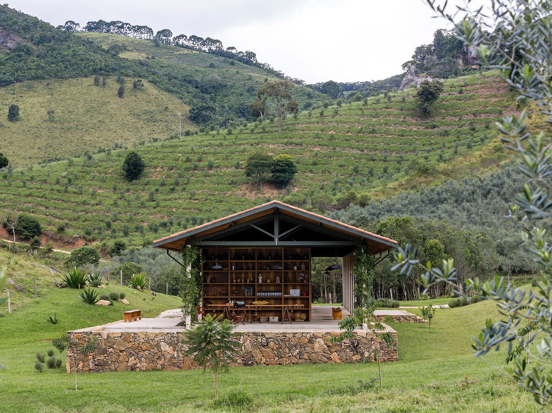 Paraisopolis旅游景点-Oliq Azeite